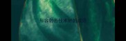 形容射击技术好的成语