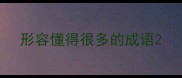 形容懂得很多的成语
