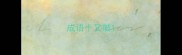 成语十又破