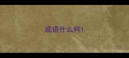 成语什么柯
