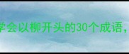 柳暗花明柳成荫5分钟学会以柳开头的30个成语附接龙技巧和实用场景