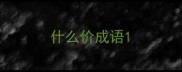 什么价成语