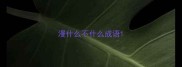 漫什么不什么成语