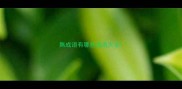 無成语有哪些成语大全