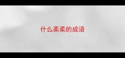 什么柔柔的成语