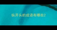 纵开头的成语有哪些