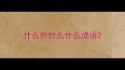 什么外什么什么成语