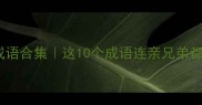 双胞胎猜成语合集这10个成语连亲兄弟都猜不出