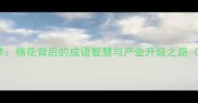 棉心织梦棉花背后的成语智慧与产业升级之路深度