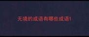 无境的成语有哪些成语