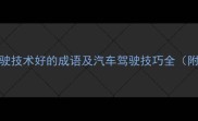 10个形容驾驶技术好的成语及汽车驾驶技巧全附学习路径