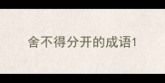 舍不得分开的成语