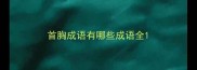 首胸成语有哪些成语全