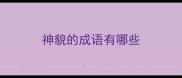 神貌的成语有哪些