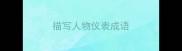 描写人物仪表成语