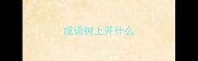 成语树上开什么