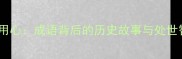 歹毒用心成语背后的历史故事与处世智慧