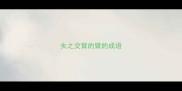 失之交臂的臂的成语