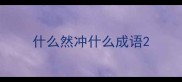 什么然冲什么成语