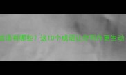 飞翔相关的成语有哪些这10个成语让你写作更生动附用法