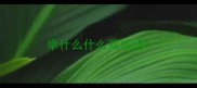 举什么什么双成语