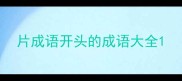 片成语开头的成语大全