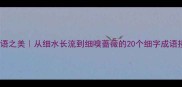细数成语之美从细水长流到细嗅蔷薇的20个细字成语接龙全