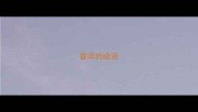 普洱的成语