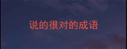 说的很对的成语