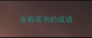 含有读书的成语