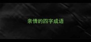 亲情的四字成语