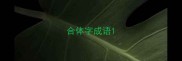 合体字成语