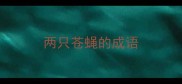 两只苍蝇的成语