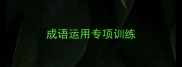 成语运用专项训练