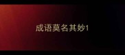 成语莫名其妙