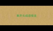 素开头成语接龙