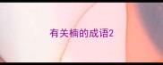 有关楠的成语