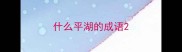 什么平湖的成语