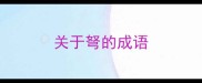 关于弩的成语