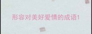 形容对美好爱情的成语