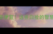 10个最便宜的成语形容便宜这些白捡的智慧看完秒变语文高手