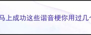 成语谐音梗大全乒乓马虎马上成功这些谐音梗你用过几个附趣味用法和避坑指南