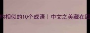 井然有序结构相似的10个成语中文之美藏在四字密码里