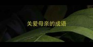 关爱母亲的成语