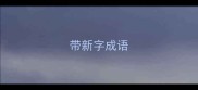 带新字成语