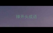 辣开头成语