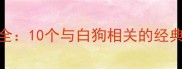 白狗成语大全10个与白狗相关的经典成语及寓意