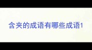 含夹的成语有哪些成语