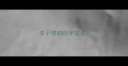 关于情的四字成语