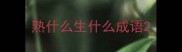 熟什么生什么成语